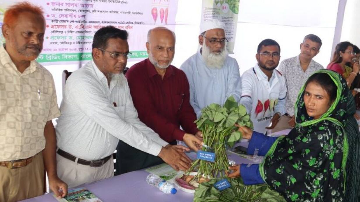 বাউ মিষ্টি আলু-৫ এর চারা বিতরণ অনুষ্ঠানে বাকৃবি উপাচার্য অধ্যাপক ড. এ. কে. ফজলুল হক ভূঁইয়া