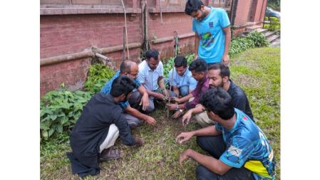 ঢাকা বিশ্ববিদ্যালয়ে ছাত্রদলের ‘জিয়া ট্রি’ রোপণ