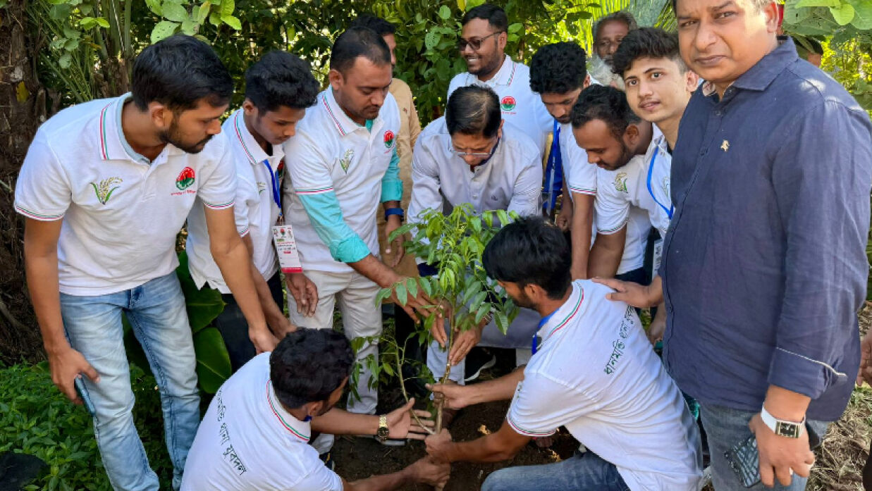 বৃক্ষ রোপণ ও বিতরণ কর্মসূচি