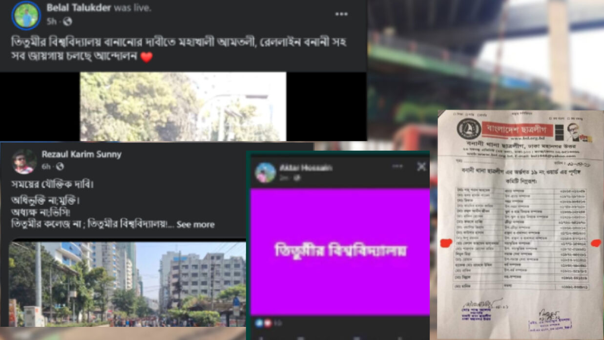 ছাত্রলীগের নেতা-কর্মীদের দেয়া পোস্ট।