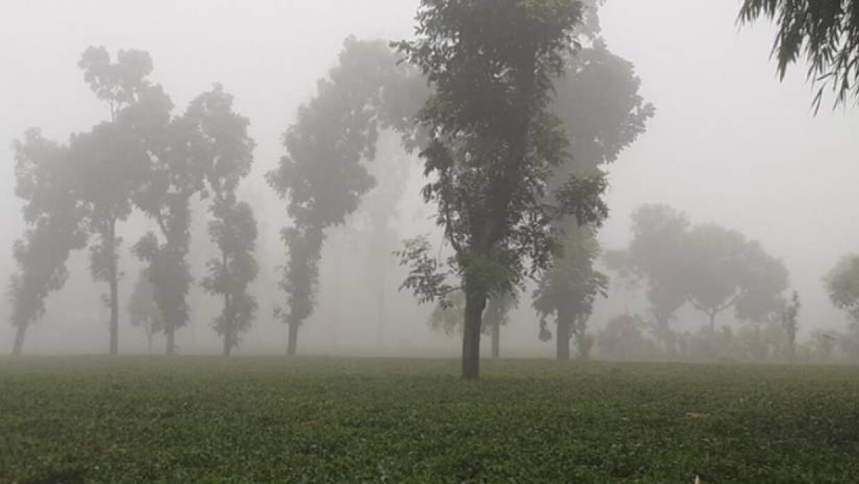 তেঁতুলিয়ায় শীতের তীব্রতা বাড়তে শুরু করেছে