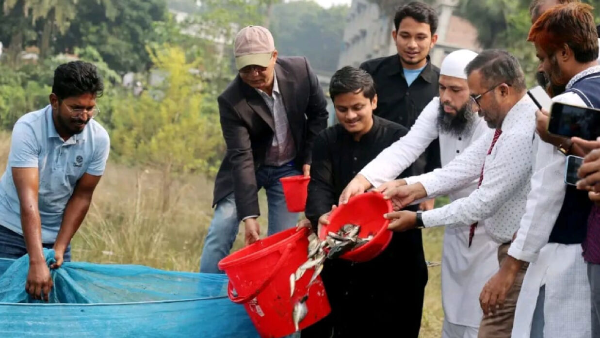 মাছের পোনা অবমুক্ত করেছেন বিশ্ববিদ্যালয়ের উপাচার্য অধ্যাপক ড. নকীব মোহাম্মদ নসরুল্লাহ