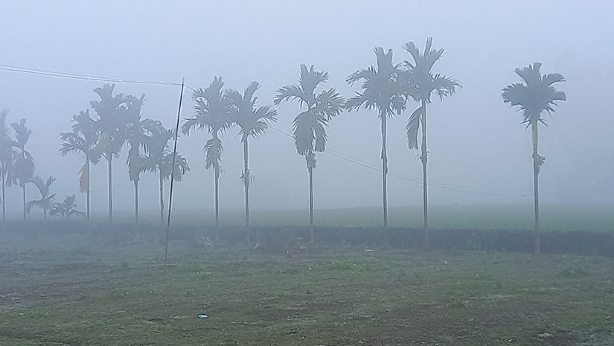 শীতের সকালে গ্রামীণ প্রকৃতি