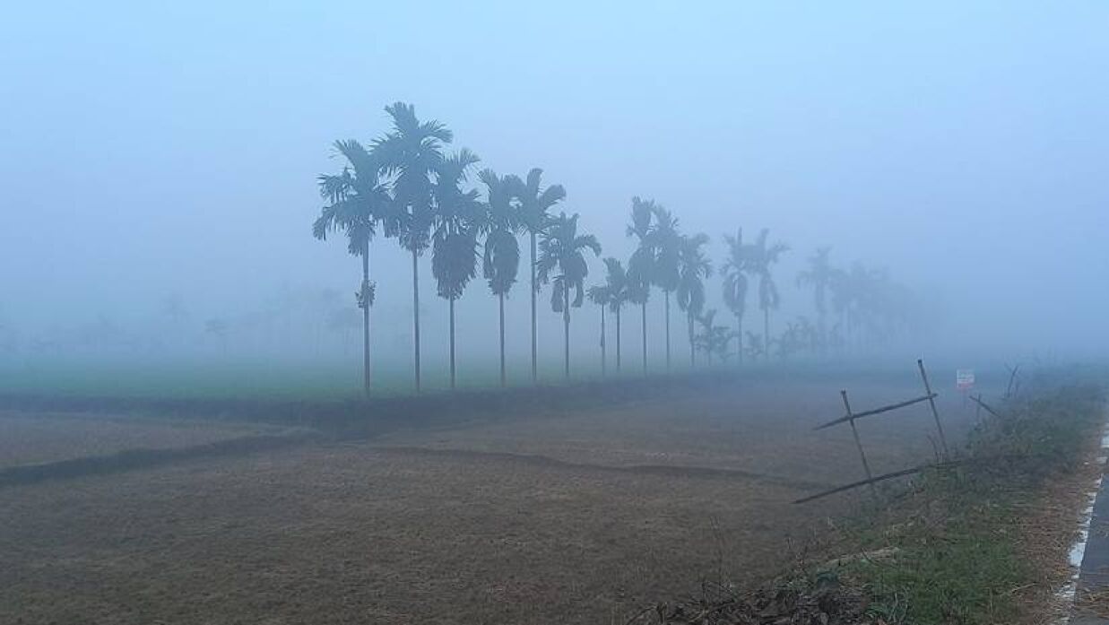 শীতের সকালের দৃশ্য