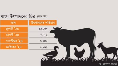 দেশে মাংস খাওয়া আরও কমেছে