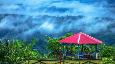 আজ থেকে সাজেক ভ্রমণ করতে পারবেন পর্যটকরা