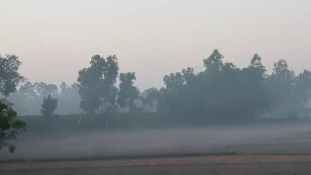 শীতের সকালের দৃশ্য