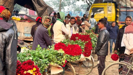 গদখালীতে শত কোটি টাকার ফুল বিক্রির আশা