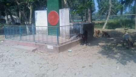 ভাষা দিবসে শহীদ মিনারে শ্রদ্ধা না জানিয়ে ছাগল বেঁধে রাখলেন প্রধান শিক্ষক