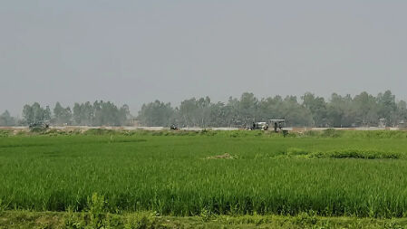 বিএসএফের বুলেটে ভারতীয় চোরাকারবারি নিহত