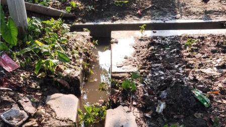 ইসলামী বিশ্ববিদ্যালয়ে মশার উপদ্রবে অতিষ্ঠ শিক্ষার্থীরা