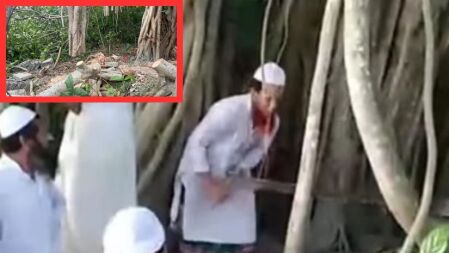 ‘শিরক’ আখ্যা দিয়ে কাটা হলো শতবর্ষী বটগাছ, ভিডিও ভাইরাল